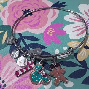 Limited release Christmas Disney parks Alex and Ani